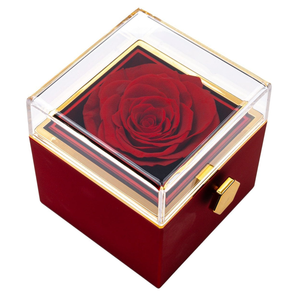 Rosenbox mit echten und ewigen Rosen - OTANTO